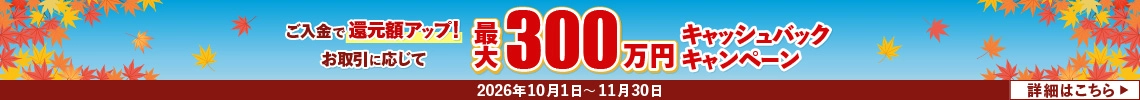 最大300万円キャッシュバックキャンペーン